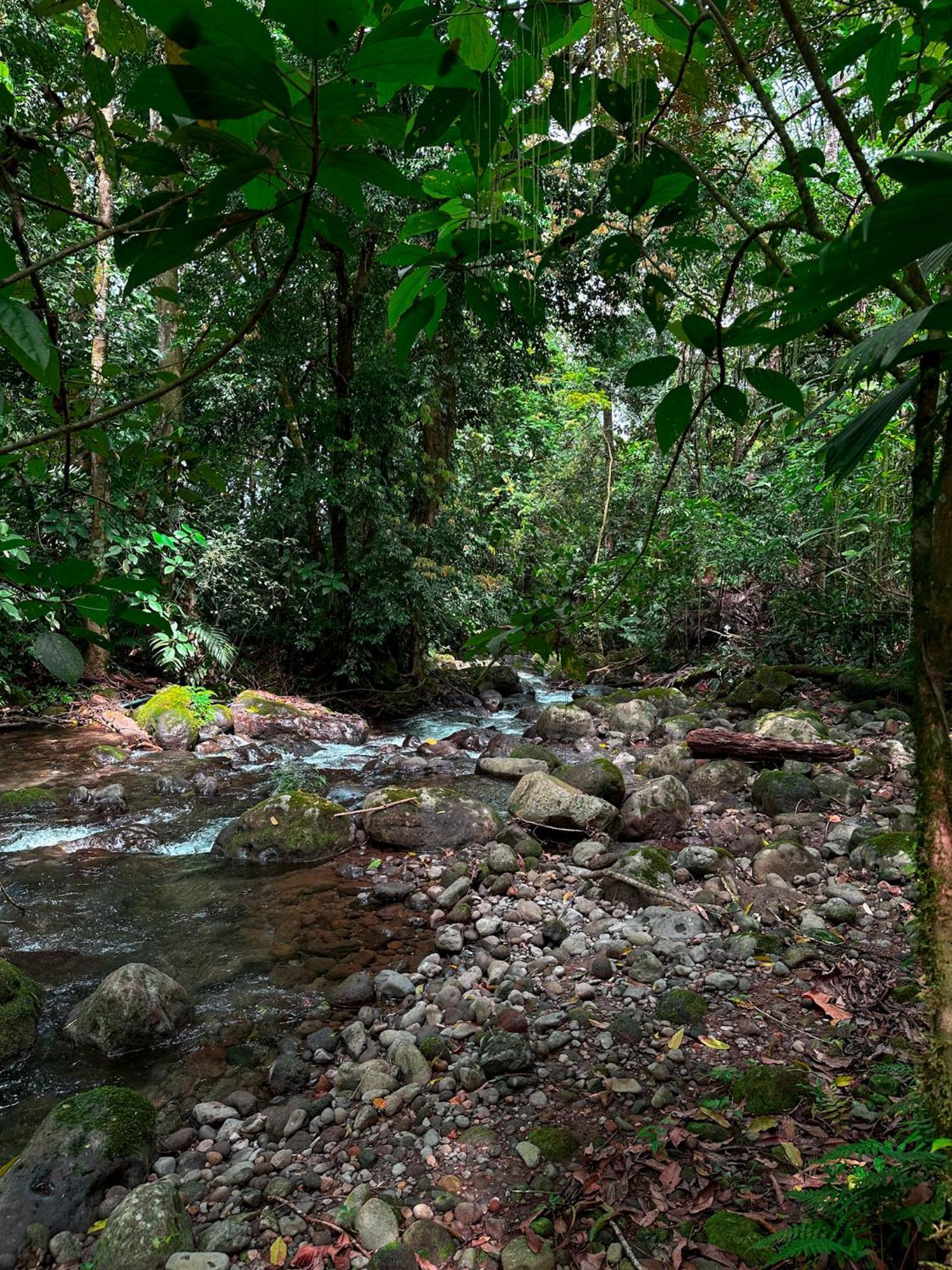 Cabanas Rio Escondido En La Fortuna Buitenkant foto