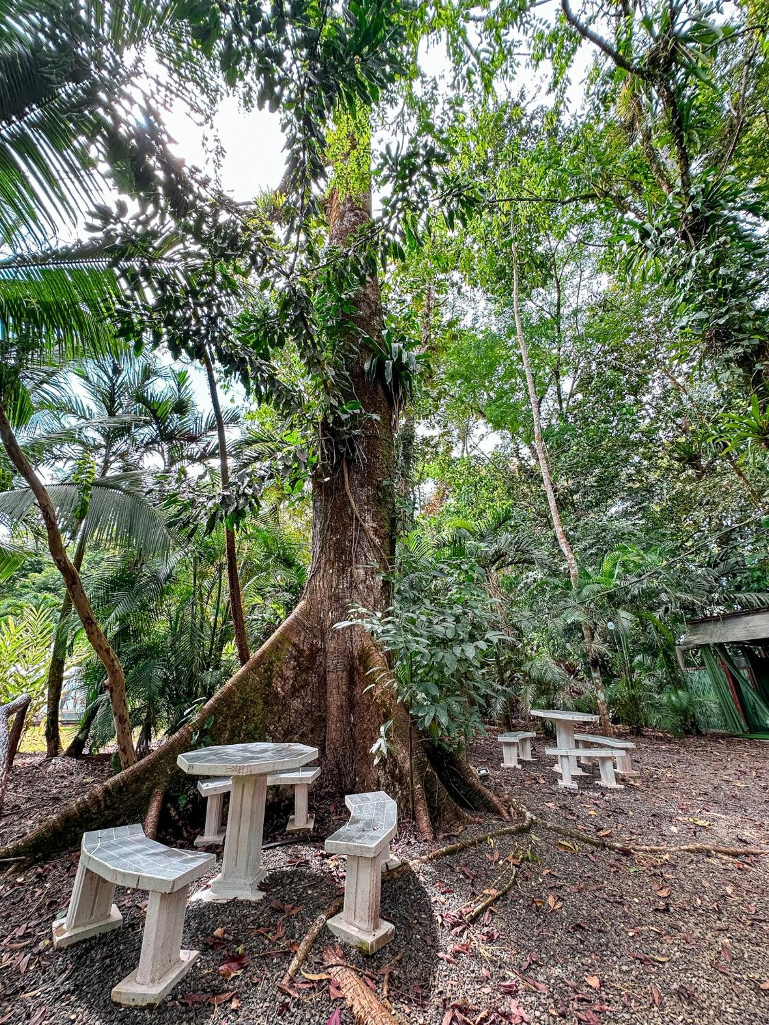 Cabanas Rio Escondido En La Fortuna Buitenkant foto