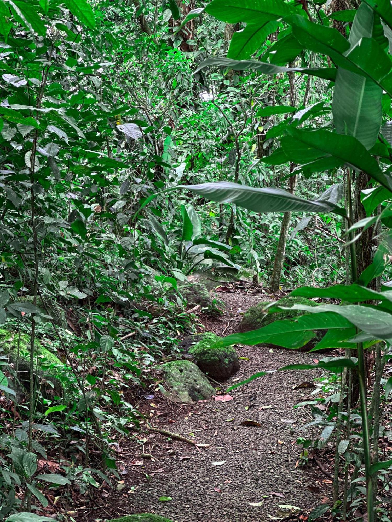 Cabanas Rio Escondido En La Fortuna Buitenkant foto