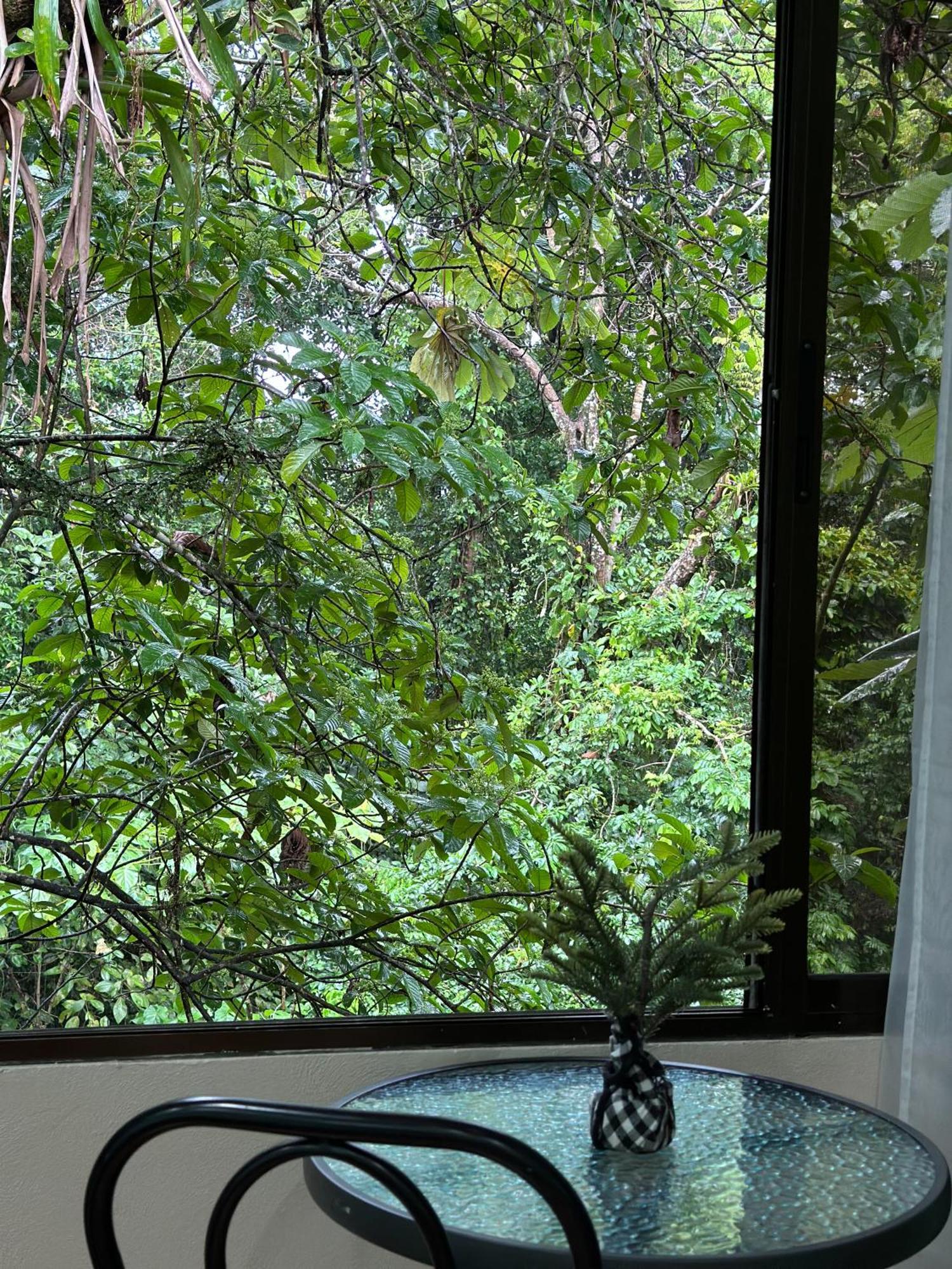 Cabanas Rio Escondido En La Fortuna Buitenkant foto