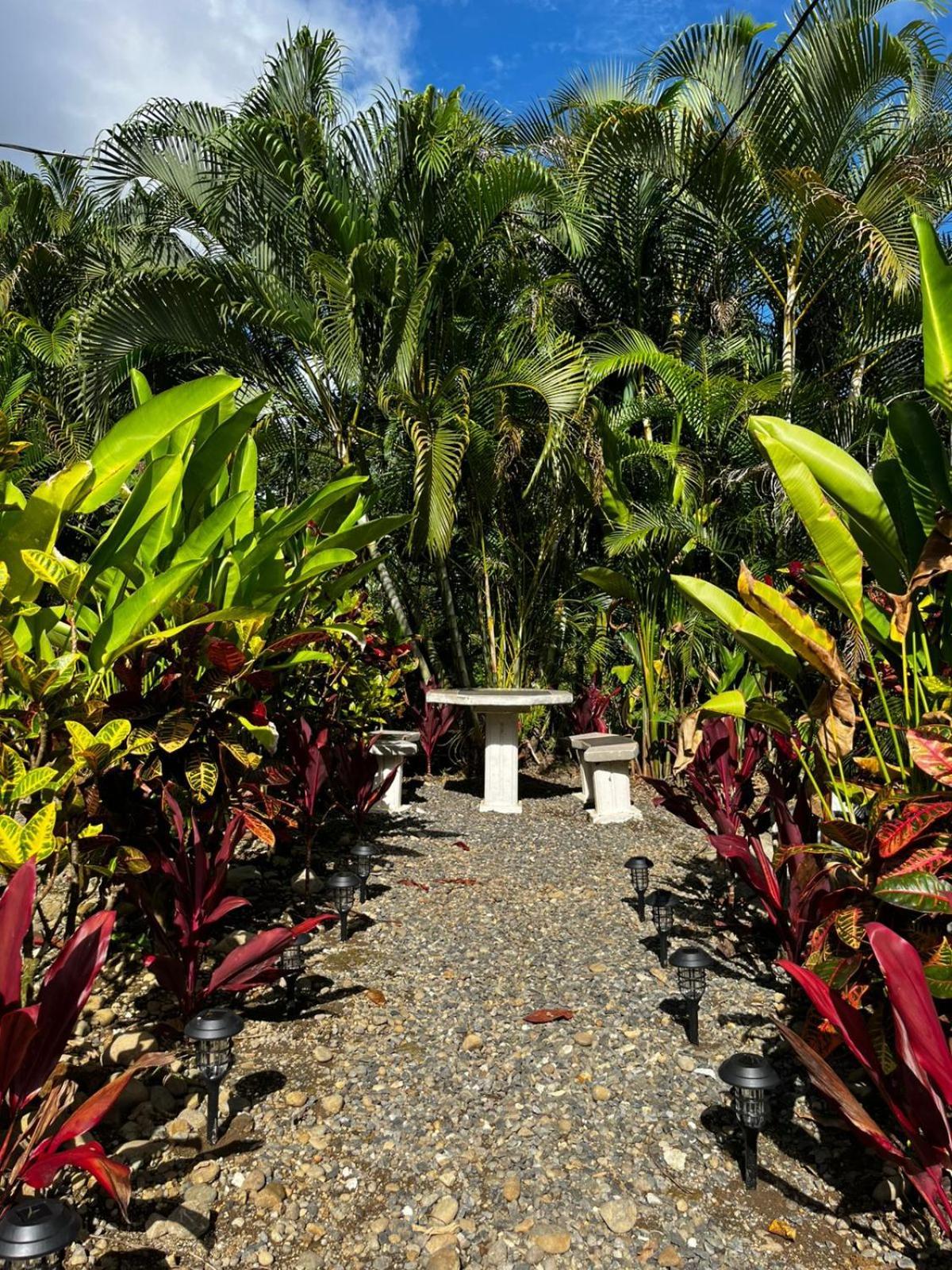 Cabanas Rio Escondido En La Fortuna Buitenkant foto